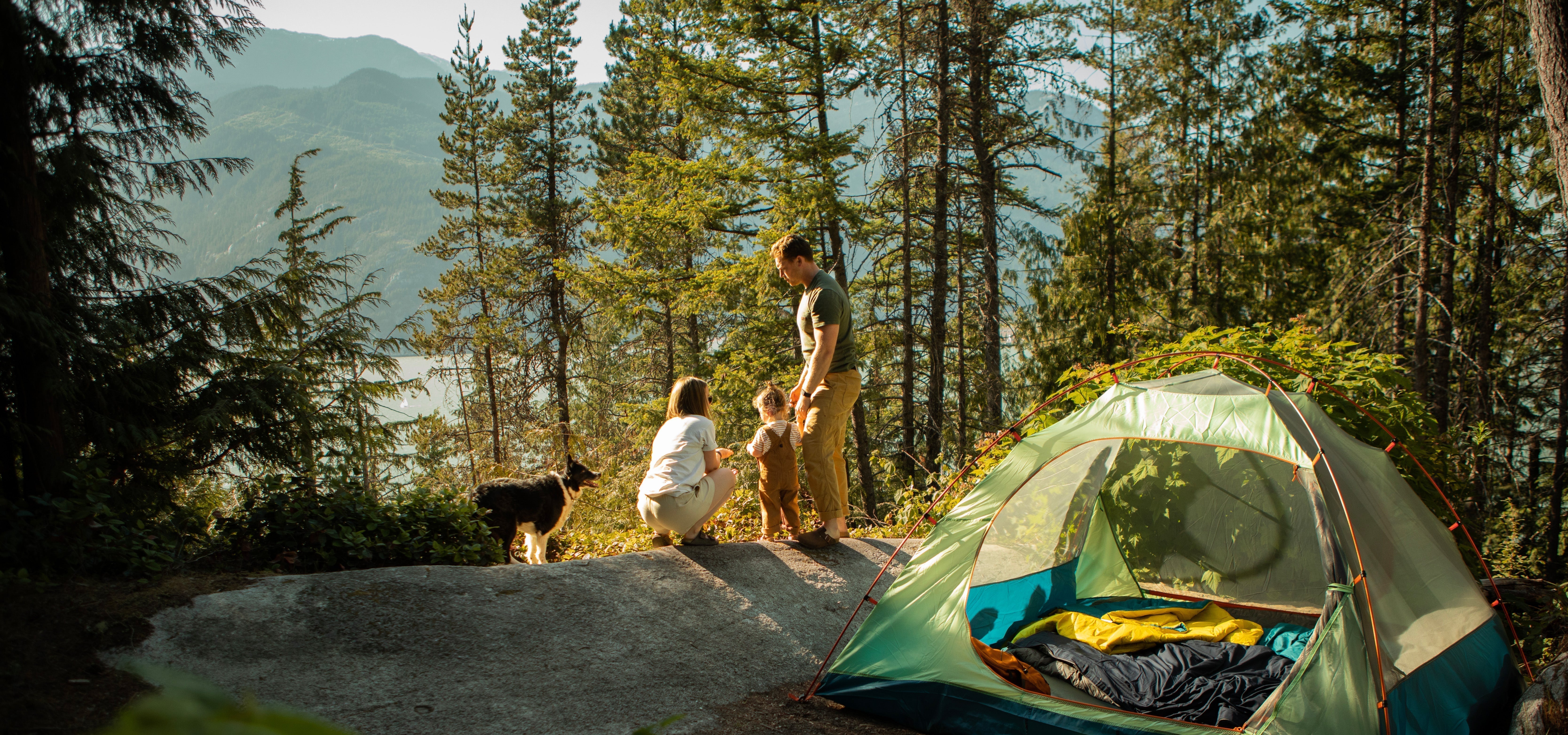 Distant view of a small family and their dog during sunset at their campsite in a pine forest
